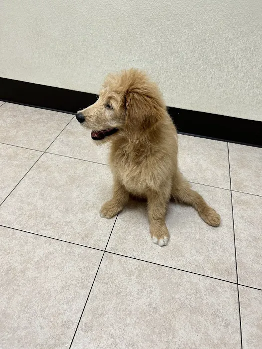 Staten Island Animal Hospital Picture 5