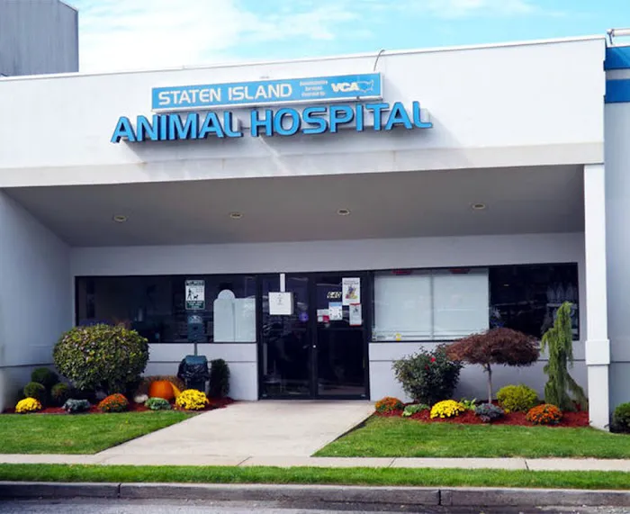 Staten Island Animal Hospital Picture 4