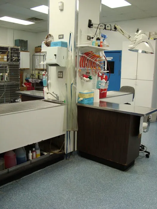 Staten Island Animal Hospital Picture 8