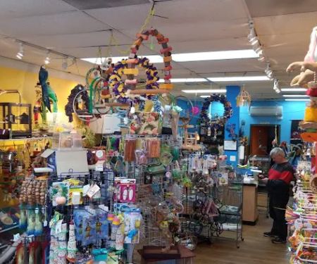Inca's Secret Parrot & Bird Toys/Boarding