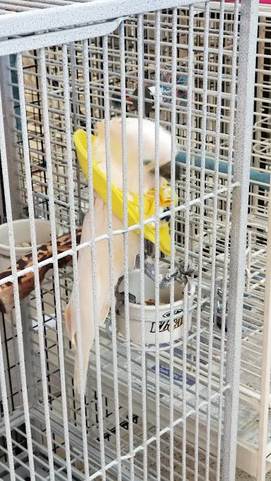 Inca's Secret Parrot & Bird Toys/Boarding Picture 10