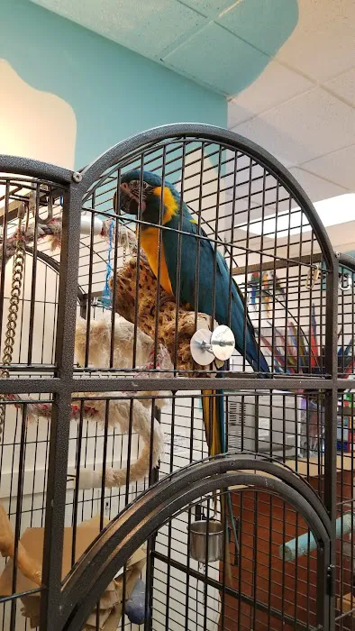Inca's Secret Parrot & Bird Toys/Boarding Picture 8