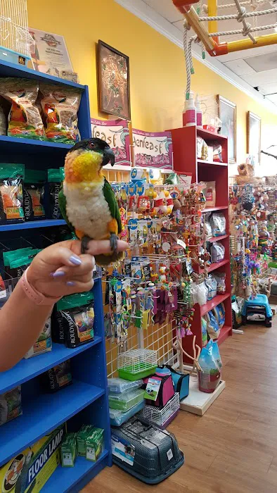 Inca's Secret Parrot & Bird Toys/Boarding Picture 2
