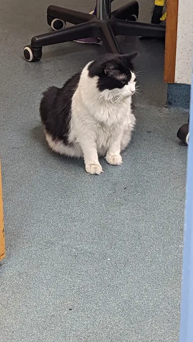 Bayonne Veterinary Medical Picture 8
