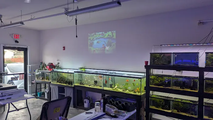 Kraken Reef Aquatics Picture 2