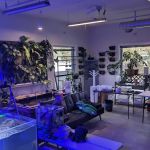 Kraken Reef Aquatics