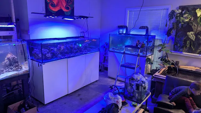 Kraken Reef Aquatics Picture 3