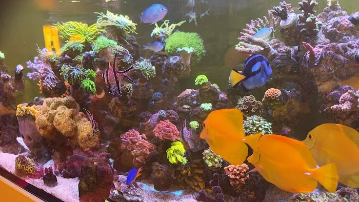 Kraken Reef Aquatics Picture 6