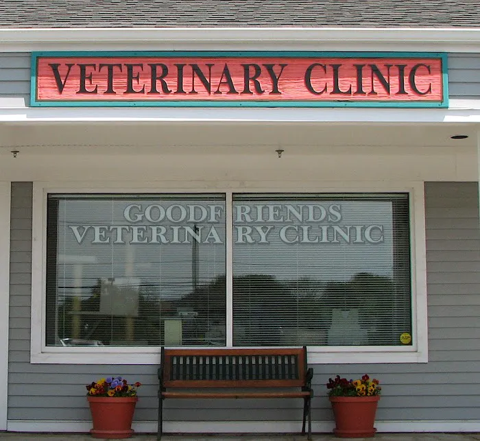 Goodfriends Veterinary Clinic Picture 5