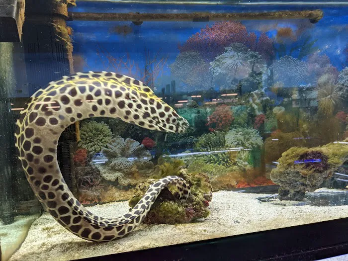 Tropical Fish World Picture 3
