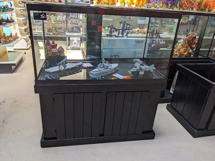 Tropical Fish World Picture 2