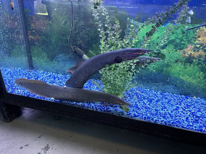 Tropical Fish World Picture 10