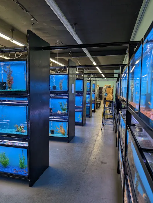 Tropical Fish World Picture 5