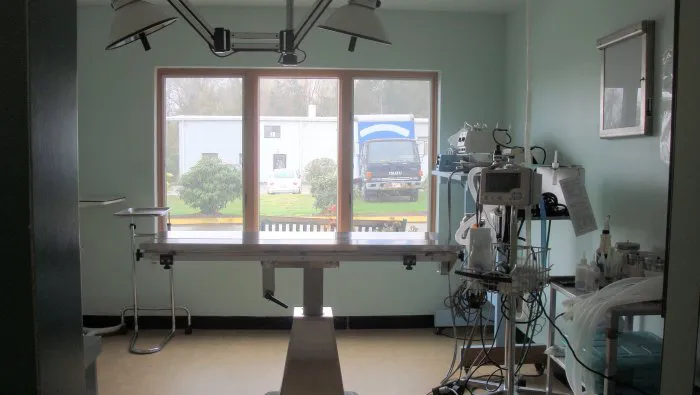 VCA New London Animal Hospital Picture 7