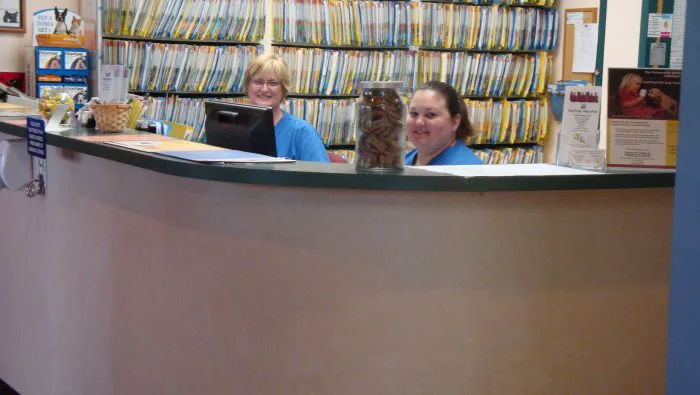 VCA New London Animal Hospital Picture 5