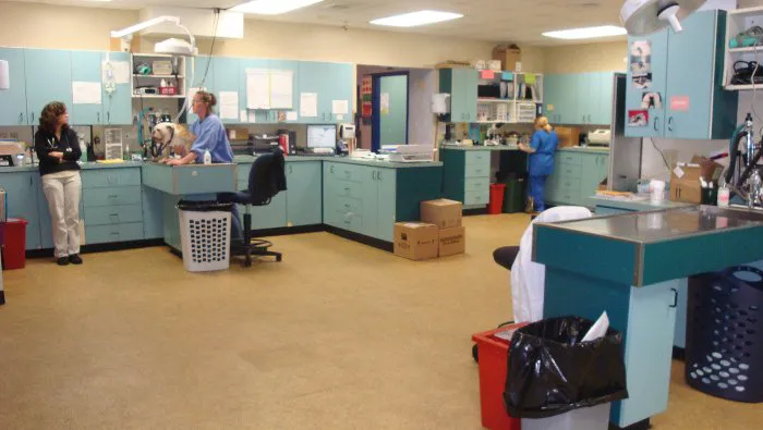 VCA New London Animal Hospital Picture 8