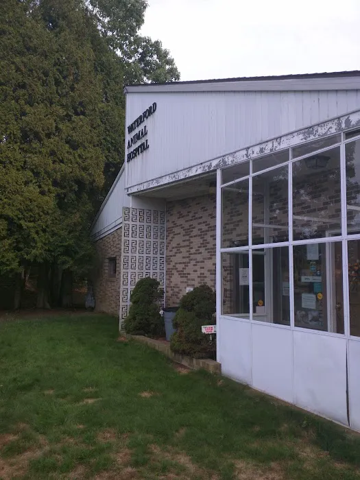 Waterford Animal Hospital Picture 5