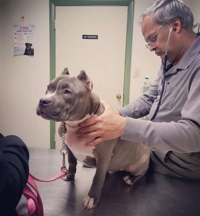 Waterford Animal Hospital Picture 1