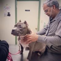 Waterford Animal Hospital ico