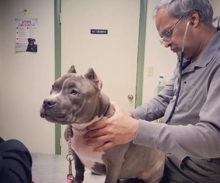 Waterford Animal Hospital