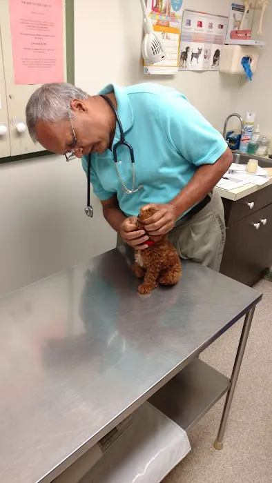Waterford Animal Hospital Picture 4