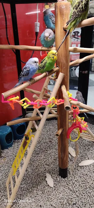 Petco Picture 8