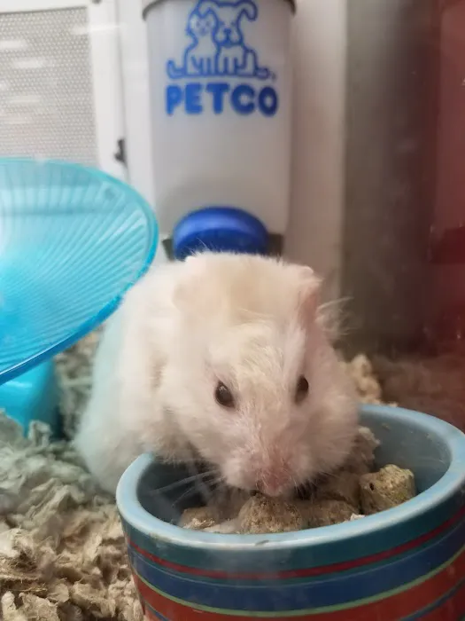 Petco Picture 9