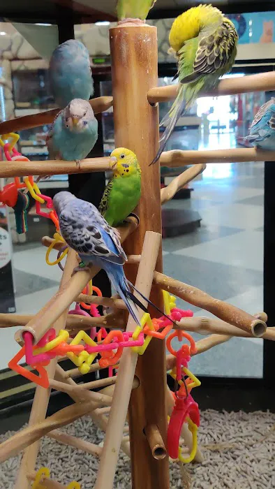 Petco Picture 4