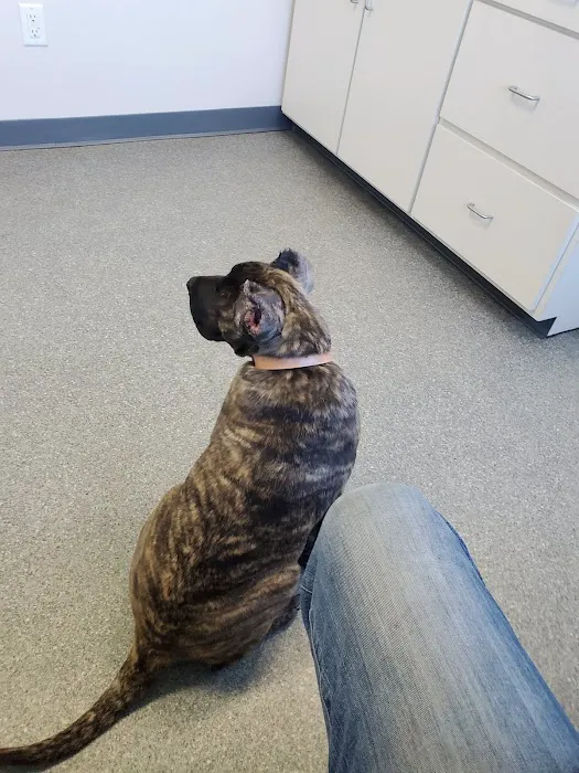 Essex Veterinary Clinic Picture 2