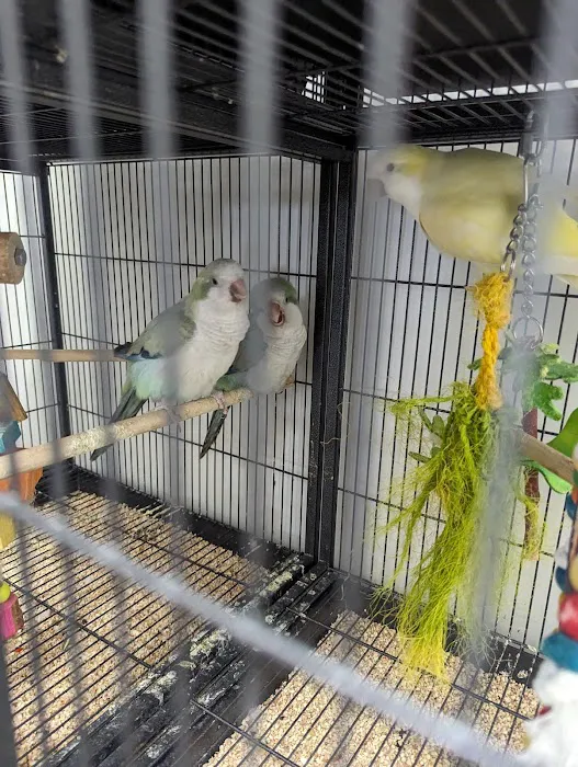Farmland Pets & Feed Picture 8
