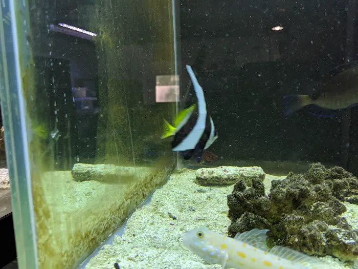 The Shark Reef Picture 2