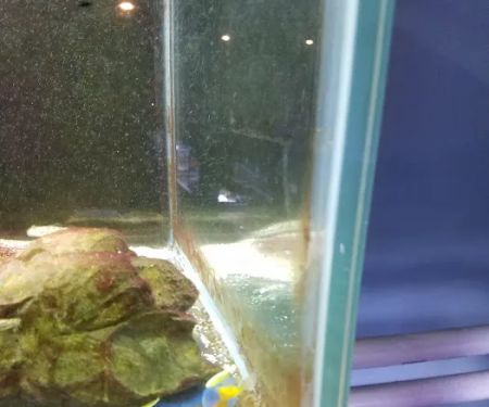 The Shark Reef