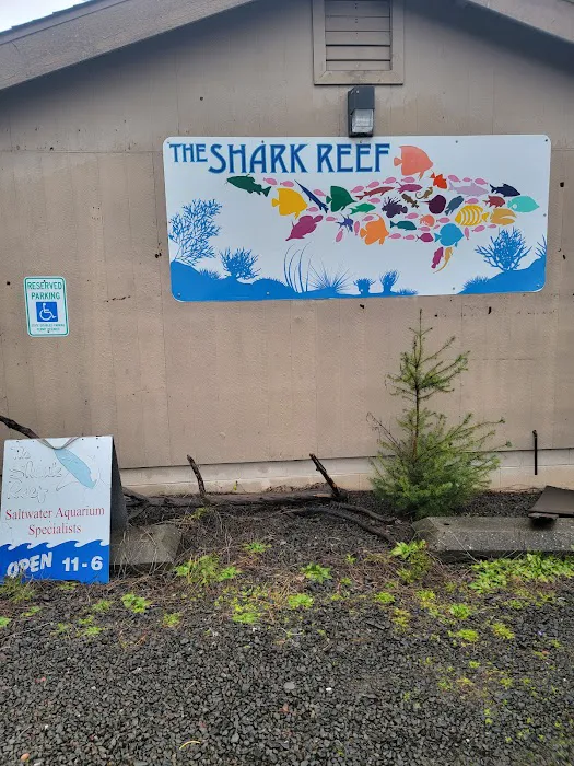 The Shark Reef Picture 7
