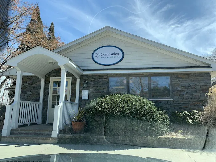 Companion Animal Hospital Picture 9