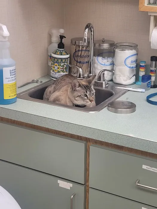 Companion Animal Hospital Picture 7
