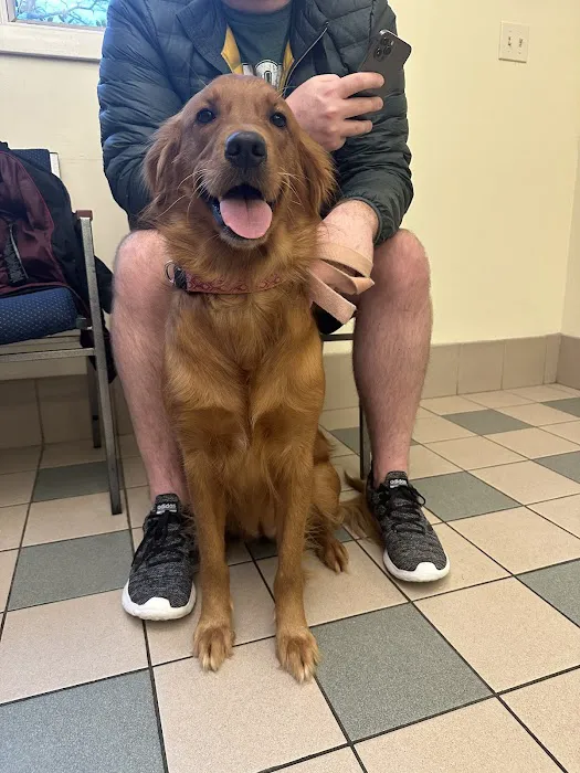 Companion Animal Hospital Picture 3