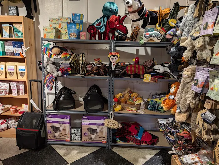 B.I. Barkery Picture 4