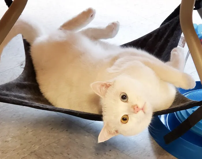 Paws & Fins Pet Shop Picture 3
