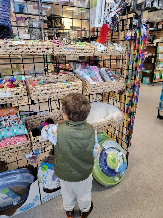 Paws & Fins Pet Shop Picture 2