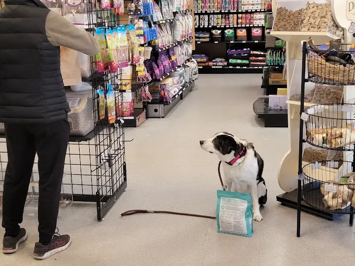 Paws & Fins Pet Shop Picture 4