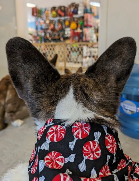 Paws & Fins Pet Shop Picture 7