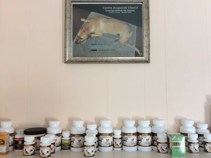 Veterinary Acupuncture and Herbal Medicine Picture 2