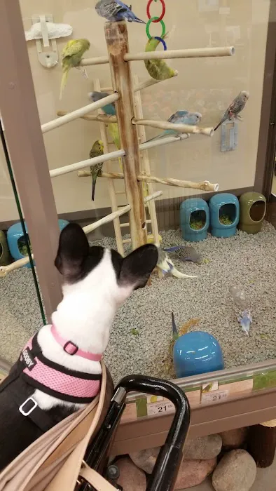 Petco Picture 1