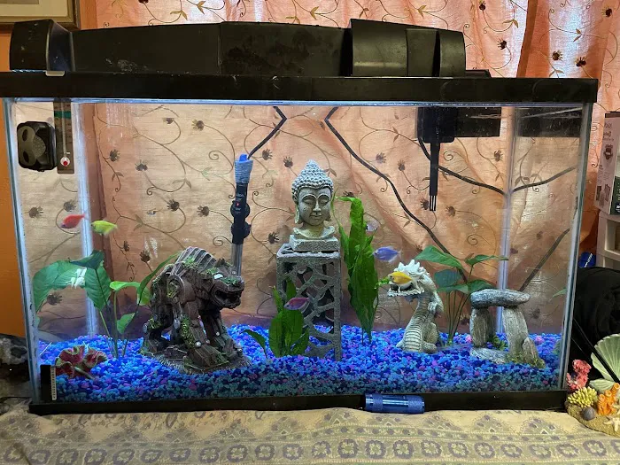 Petco Picture 10
