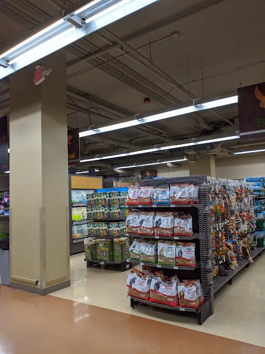 Petco Picture 7