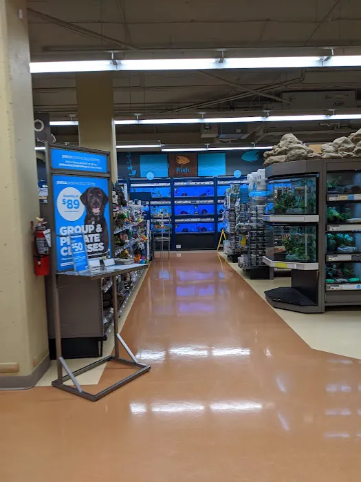 Petco Picture 8