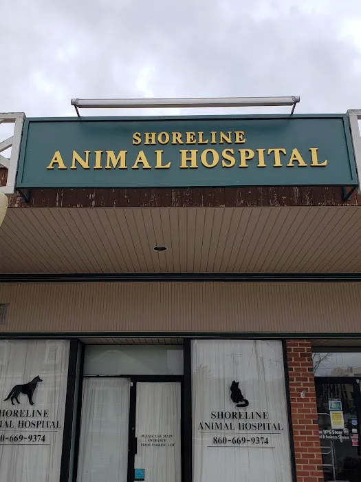 CareVet of Shoreline Picture 7
