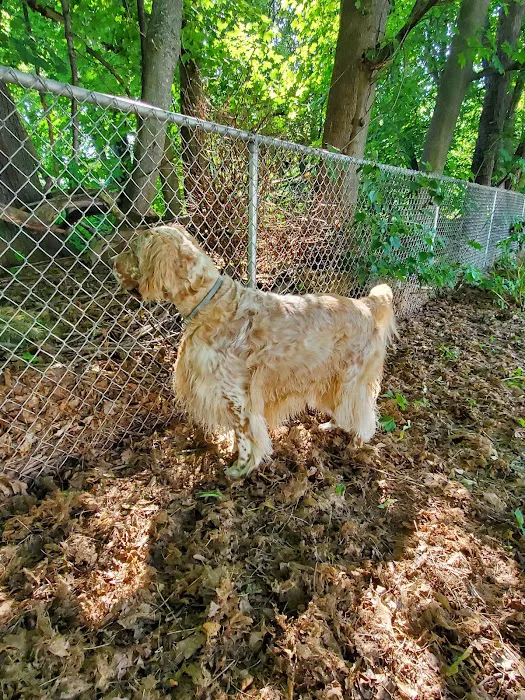 Deep River Animal Hospital Picture 3