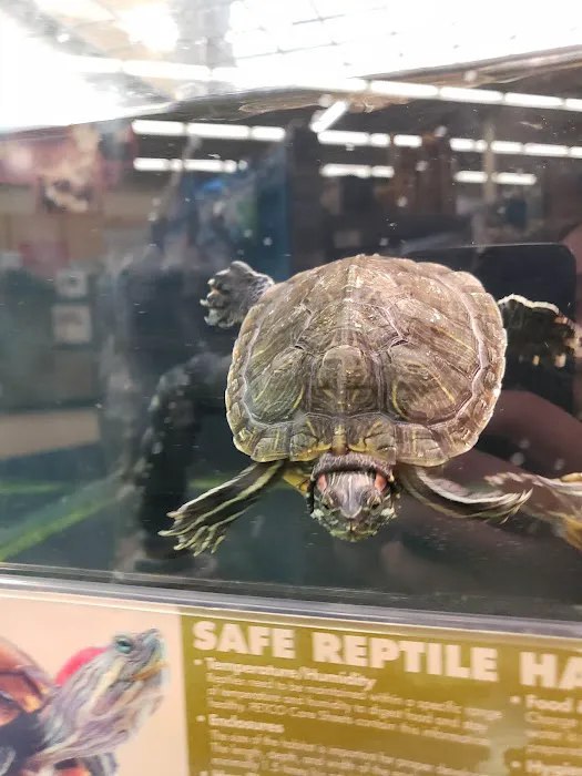 Petco Picture 9