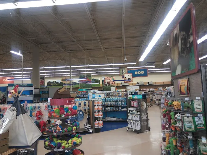 Petco Picture 1